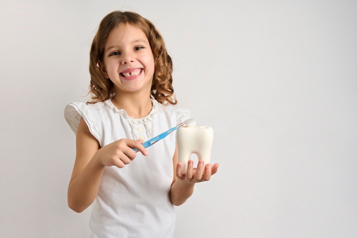 A young girl holding a model tooth and a toothbrush, smiling — learning how to care for her teeth